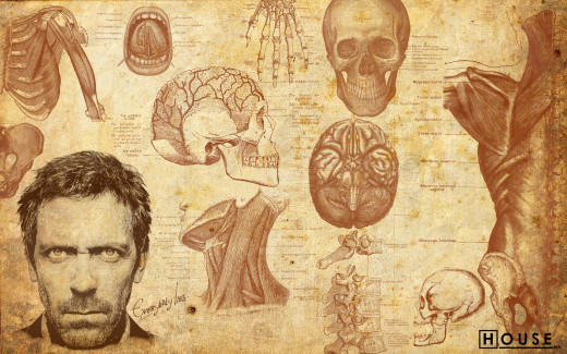 585436 (a): :2560x1600